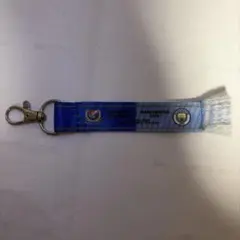 横浜F・マリノス マンチェスターシティ キーホルダー