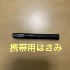 Item thumbnail for item 82a0868e-2b31-4b14-b521-d394cd228436