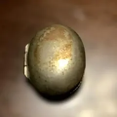 Item thumbnail for item 64ae3221-68ff-4bd8-a662-3f7983fa95e6