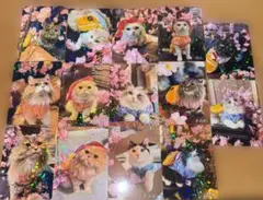 池袋本店】猫カフェmocha いちご収穫祭・夏祭りトレカ - メルカリ