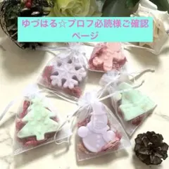 プーゲンビィリア(キャンドル) 吉村秀峰鉢入り プーゲンピィリア(キャンドル) 吉村秀峰鉢入り