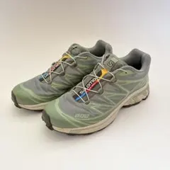 【日本未発売】 Salomon XT-6 Desert Sage 25cm