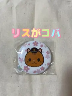ジャイアンツ　パペット　リスがコバ　缶バッジ　小林誠司