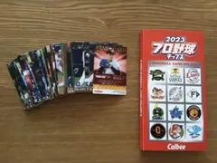 プロ野球 チップスカード 46枚付 ホルダー 2023まとめ売り