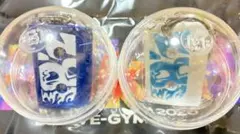B’z LIVE-GYM FYOP naked チャームセット6/27.28のサムネイル