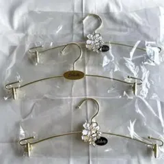 Salute ランジェリーハンガー3個セット