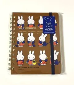 Item thumbnail for item 400f35f6-7e55-4052-bd94-072ad0d47fa1