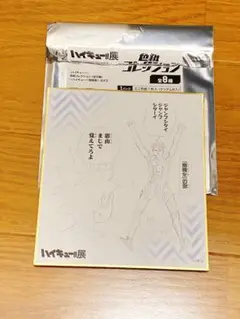 【新品】ハイキュー 完結記念 色紙 2枚セット 2025年最新】ハイキュー 色紙 完結記念の人気アイテム - メルカリ