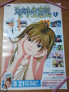 2026年最新】天使な小生意気 dvdの人気アイテム - メルカリ