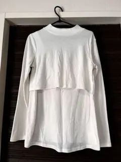 Item thumbnail for item 4459654e-31b6-41b6-be46-005433cbcc37