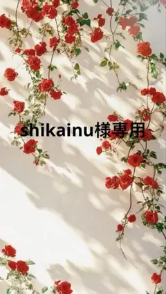 今日発送サイズ40