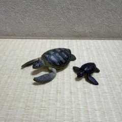 アニア ウミガメ 親子 フィギュア 2体セット