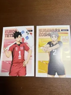【最終値下げ】ハイキュー!! 黒尾鉄朗 菅原孝支 主将・副主将フェア