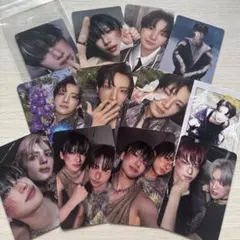 &TEAM YUMA backtolife トレカセット12枚