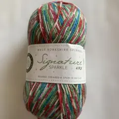 ⭐︎ 1546 Signature 海外ソックヤーン　中細　ラメ入り