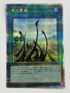 遊戯王　竜の霊廟　25thシークレット