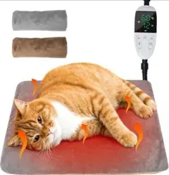 Item thumbnail for item d0326d83-6dcb-4790-ba00-5692e6e3a1e6