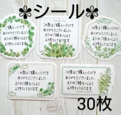 ✾ シール ✾　グリーンリーフ　30枚　サンキューカード　サンクスカード　手書き