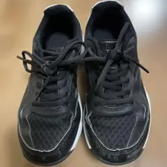 Item thumbnail for item 10909d2e-4f72-4c76-9b3f-fda71b0a5134