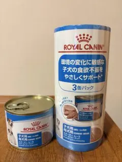 Item thumbnail for item be854db5-e6fb-48bb-95c4-d6d1267f0923