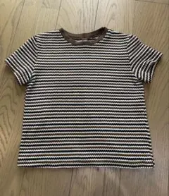 レディース　ボーダーTシャツ　ブラウン　リブT 半袖