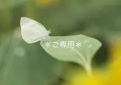 【る〜はる様ご専用】