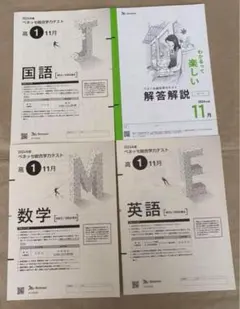 2025年最新】進研模試 11月 2024の人気アイテム - メルカリ