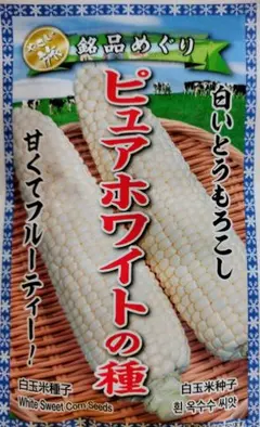 ゆーか様 リクエスト 2点 まとめ商品