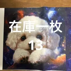 わんちゃん８パネル