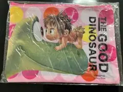 アーロと少年 メッシュポーチ A5サイズ、未使用
