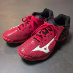 【26.0cm】 MIZUNO限定カラー卓球シューズ WAVE DRIVE