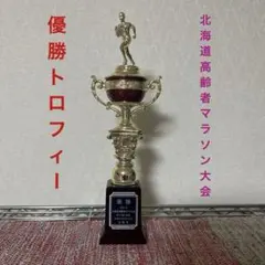 【2015年 北海道高齢者マラソン大会】 優勝トロフィー鑑賞用✴︎置物✴︎インテリア