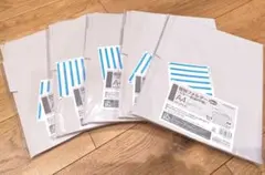 Item thumbnail for item 84786df1-2180-4f04-a791-dcb94b2475a9