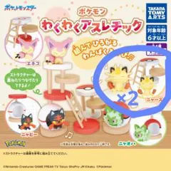 わくわくアスレチック　ポケモン　ニャース