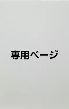 専用ページ