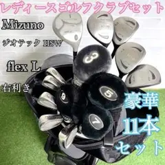 お得な初心者応援特価 ミズノ 他 レディースゴルフクラブ豪華11本セット L
