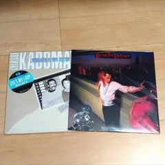 角松敏生 アナログレコード 2枚セット
