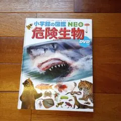 Item thumbnail for item 8e55a624-c9f2-44d7-bfac-6a763c336f90