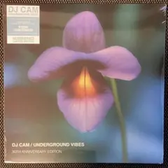 DJ SAS / LIVE AT THE G.I.T.D. 日本語ラップレコード - メルカリ