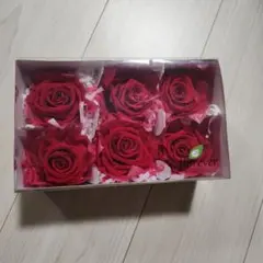 未使用】florever フロールエバー スタンダードローズステム付 12本