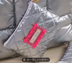 ✱ストラップは付属しません。シルバーポーチ