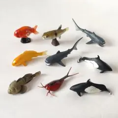 海洋堂 チョコエッグ ペット動物シリーズ ランチュウ 錦鯉 黄金 他 計8体