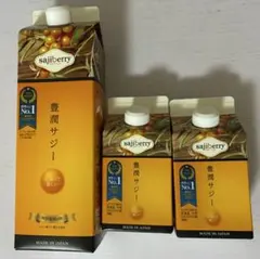 豊潤サジー 1000ml x 3セット 賞味期限2026年5月6日 - メルカリ