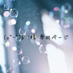(o^-')b !様専用ページ