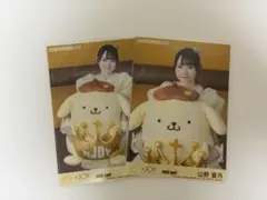 逢田珠里依　≒JOY ニアジョイ直筆 生写真　ポムポムプリン　コンプセット ≒JOY ニアジョイ生写真 ポムポムプリン コラボ 逢田珠里依 コンプ