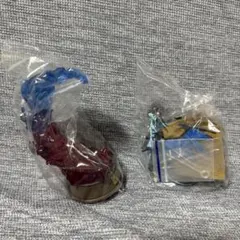 swing vignette collection4 メガリザードンX