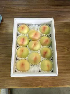 今季最終間近！注文順収穫！自然肥料のみ！こだわりの清水白桃 - メルカリ