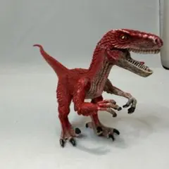 【シュライヒ】恐竜フィギュア ベロキラプトル（赤） Schleich