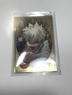 ハナ様 リクエスト 2点 まとめ商品