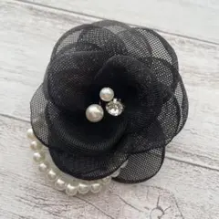 Item thumbnail for item fafa75df-3dc4-4606-860b-0249fdaea0ed